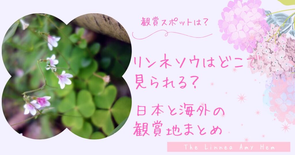 リンネソウはどこで見られる？日本から海外まで観賞スポットと見頃を紹介！